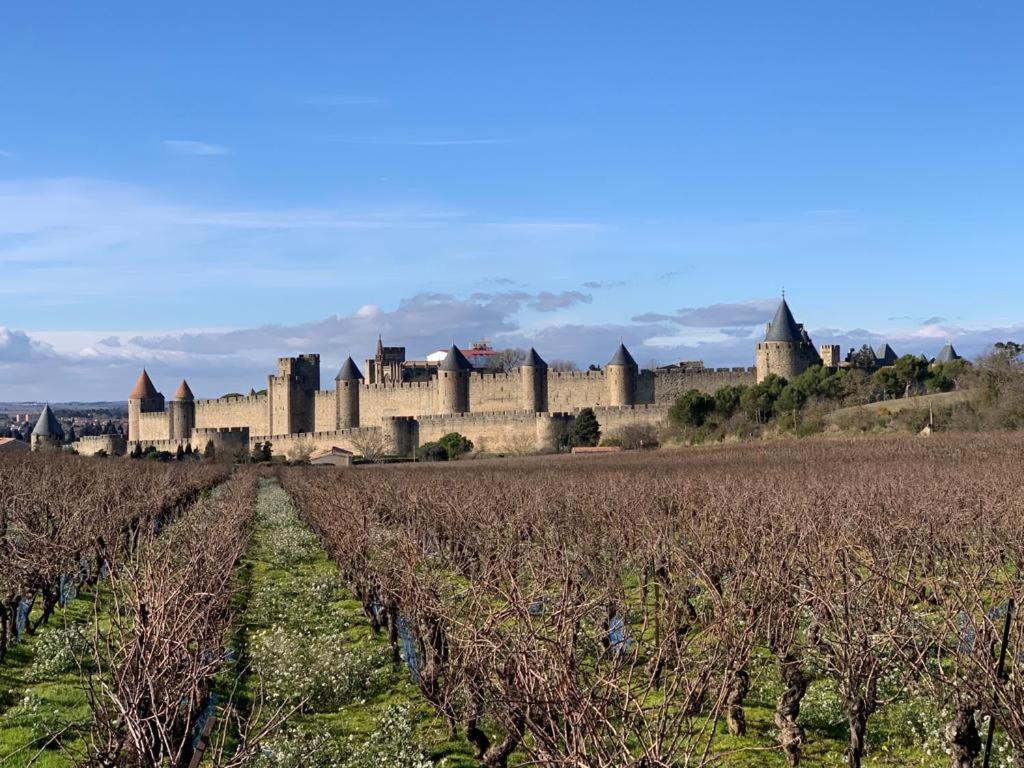 La Cour Carree - Chambres D'Hotes Carcassonne Exteriér fotografie